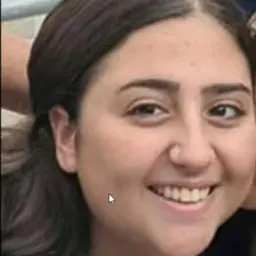רוני אשל