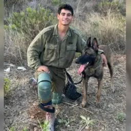 דויד ששון