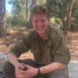תום רוטשטין