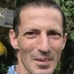 אביב אצילי