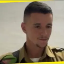 טל לוי